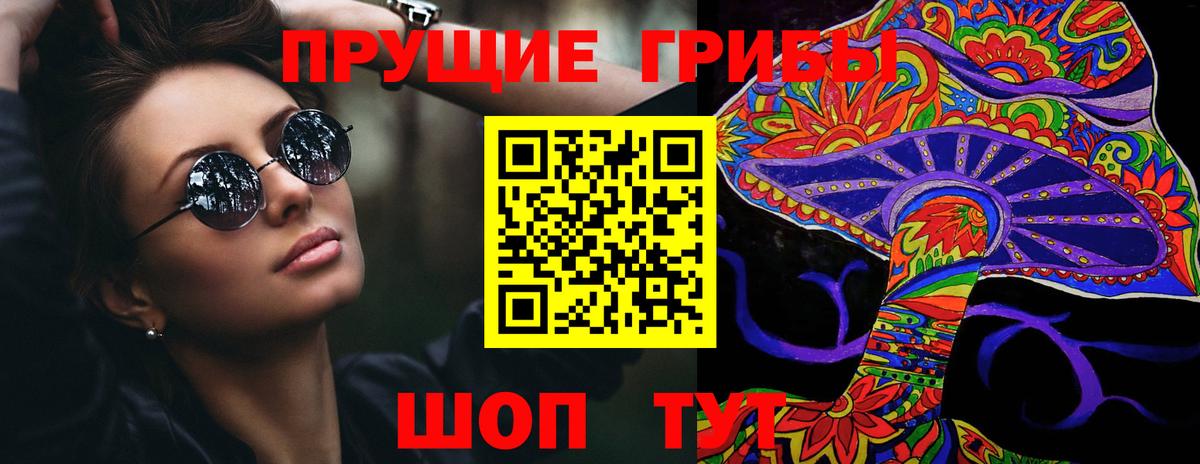 Псилоцибиновые грибы мицелий Соль-Илецк